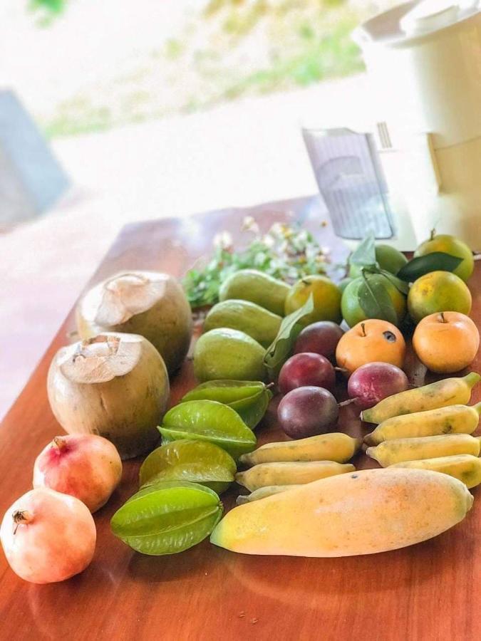 Pai Bjooc Homestay Tuyen Quang ภายนอก รูปภาพ