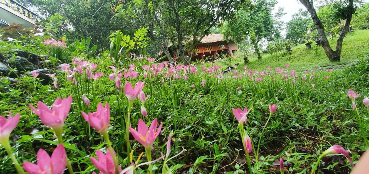Pai Bjooc Homestay Tuyen Quang ภายนอก รูปภาพ