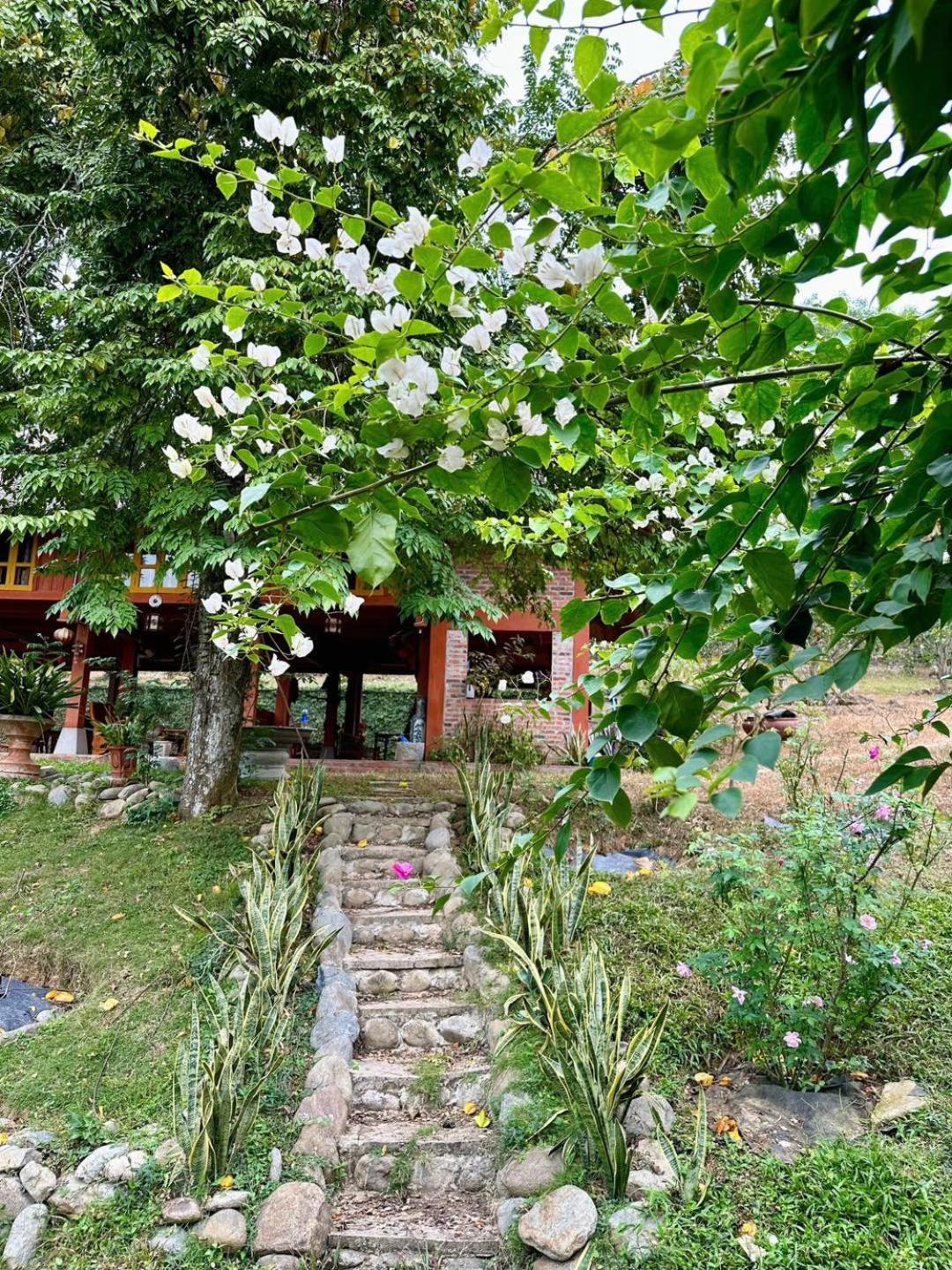 Pai Bjooc Homestay Tuyen Quang ภายนอก รูปภาพ